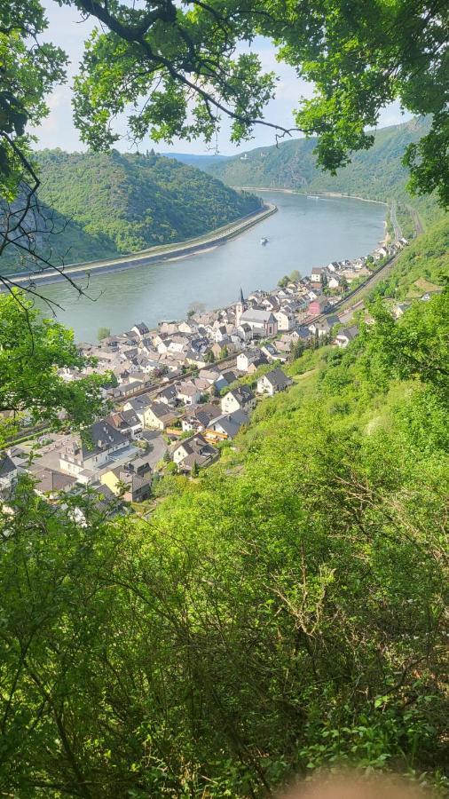 Kestert Ferienwohnung Zum Rheinblick מראה חיצוני תמונה