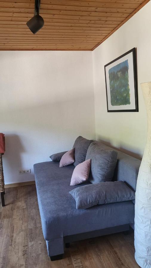 Kestert Ferienwohnung Zum Rheinblick מראה חיצוני תמונה